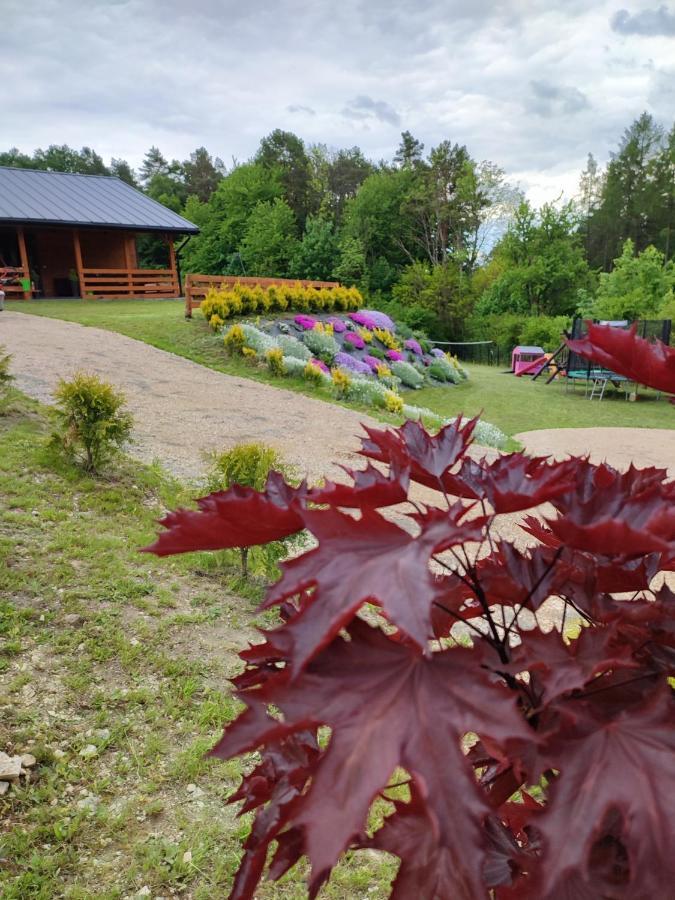 Roztocze, Domek Na Lesnym Wzgorzu, Zwierzyniec, Krasnobrod,Zamosc Экстерьер фото