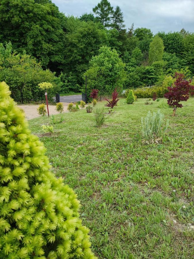 Roztocze, Domek Na Lesnym Wzgorzu, Zwierzyniec, Krasnobrod,Zamosc Экстерьер фото