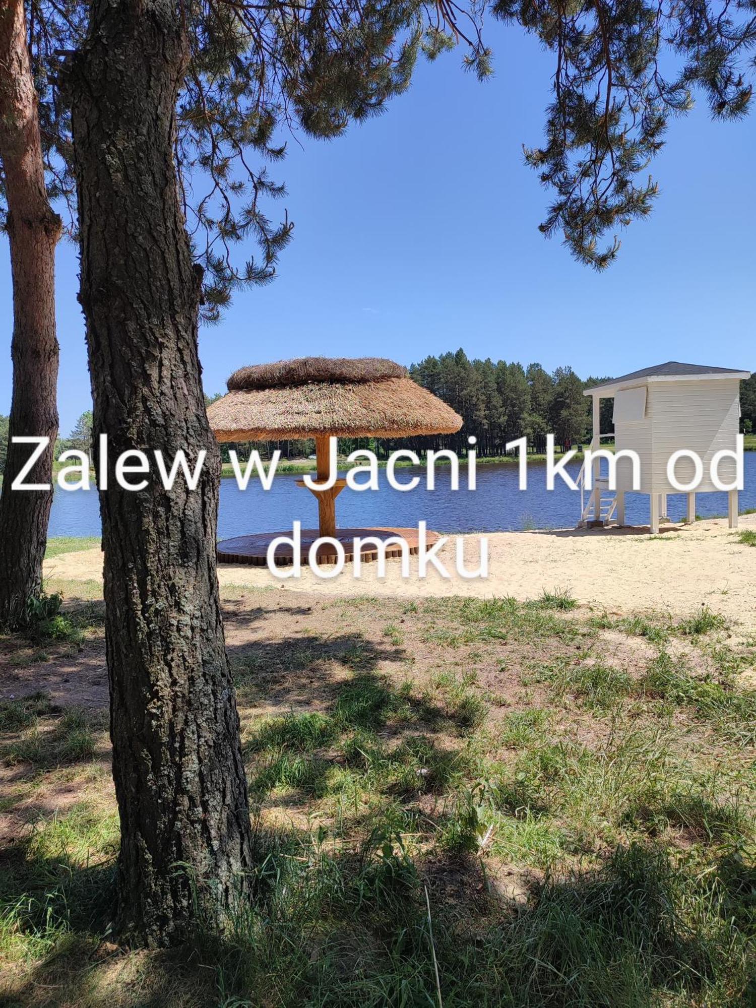 Roztocze, Domek Na Lesnym Wzgorzu, Zwierzyniec, Krasnobrod,Zamosc Экстерьер фото