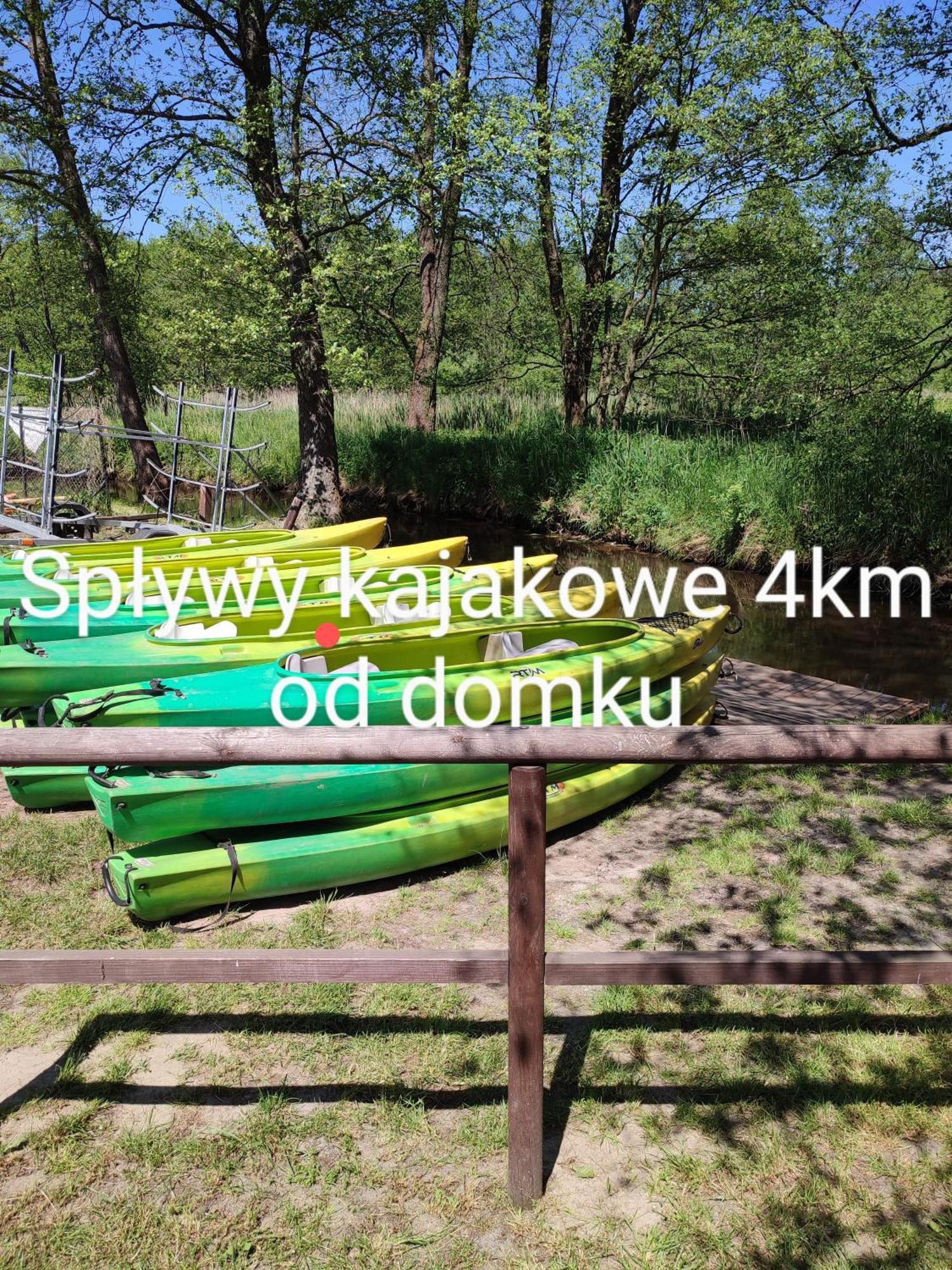 Roztocze, Domek Na Lesnym Wzgorzu, Zwierzyniec, Krasnobrod,Zamosc Экстерьер фото